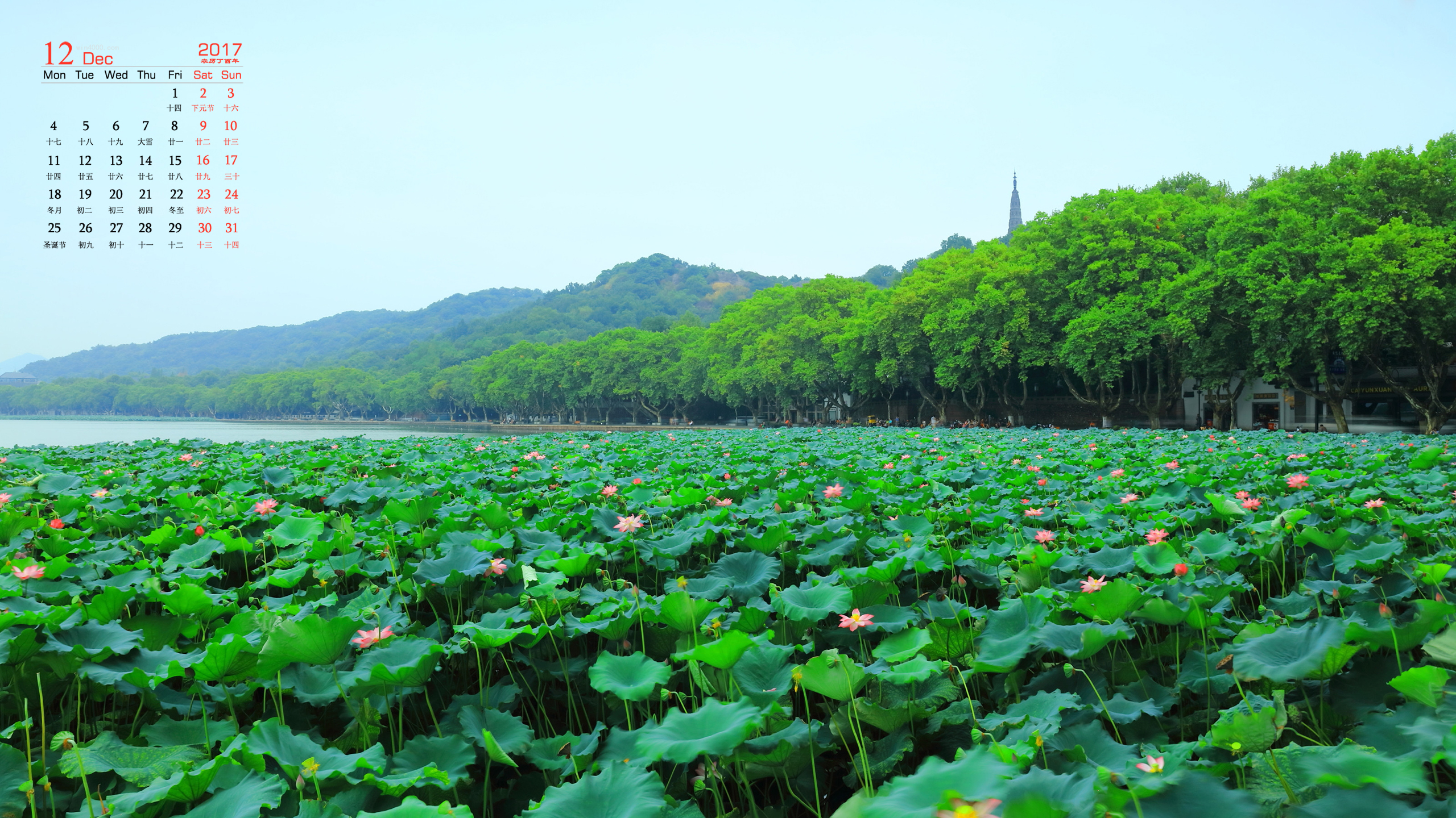 耀世平台娱乐：40.1℃！上海今夏第六个40℃+诞生，极端酷热天数破历史纪录